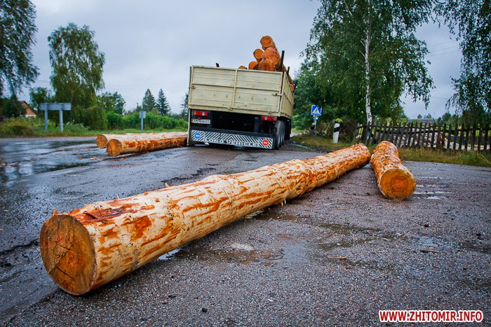 Упавшее бревно