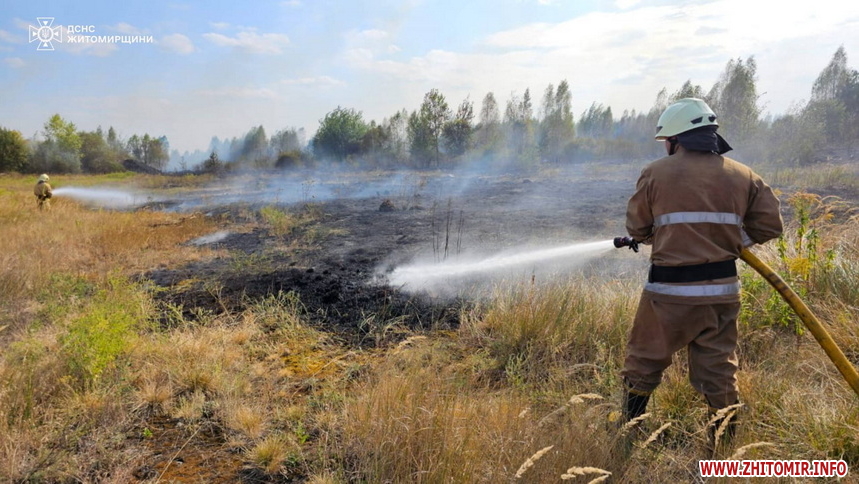 У громаді біля Житомира горить 5 га сухої трави, на місці працюють понад 20 рятувальників (оновлено)